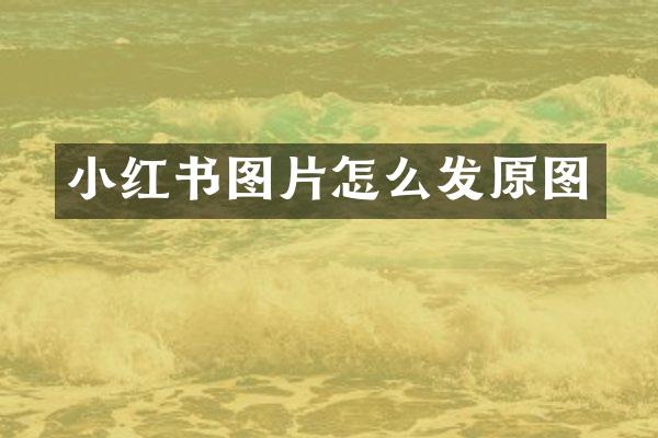 小红书图片怎么发原图