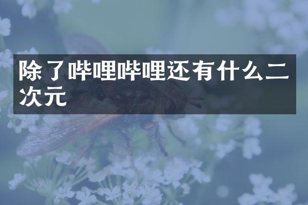 除了哔哩哔哩还有什么二次元