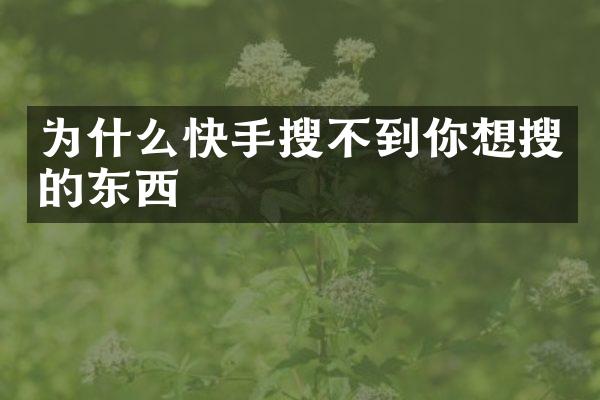 为什么快手搜不到你想搜的东西