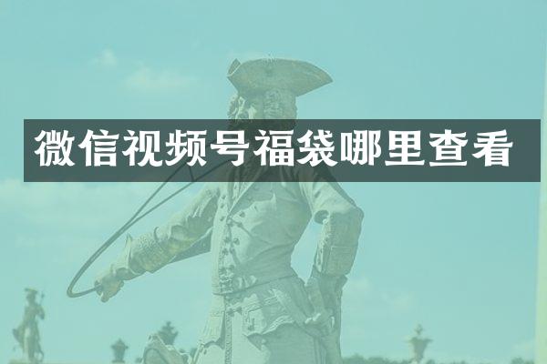 微信视频号福袋哪里查看