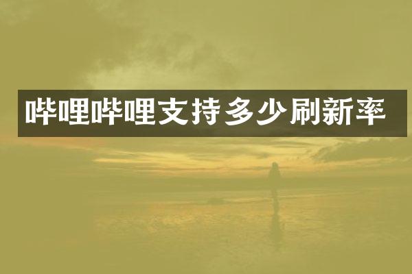 哔哩哔哩支持多少刷新率