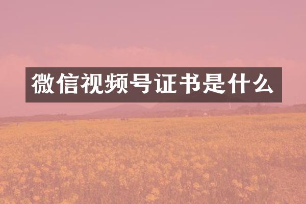 微信视频号证书是什么