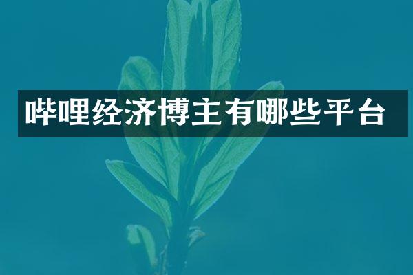 哔哩经济博主有哪些平台
