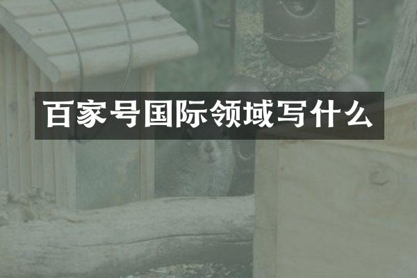 百家号国际领域写什么