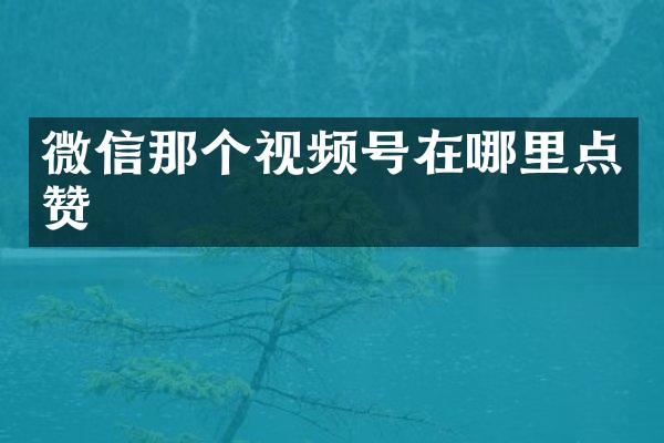 微信那个视频号在哪里点赞