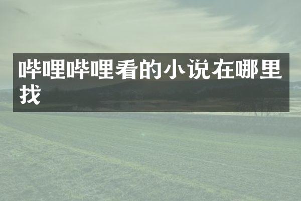 哔哩哔哩看的小说在哪里找