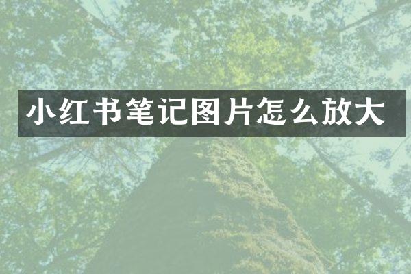 小红书笔记图片怎么放大