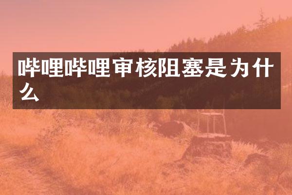哔哩哔哩审核阻塞是为什么