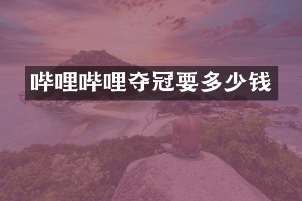 哔哩哔哩夺冠要多少钱