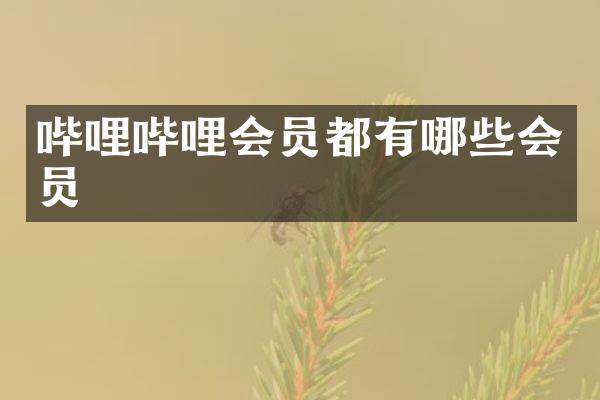 哔哩哔哩会员都有哪些会员