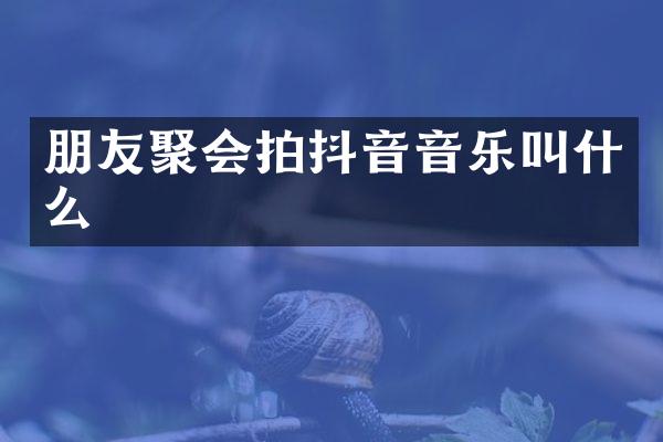 朋友聚会拍抖音音乐叫什么