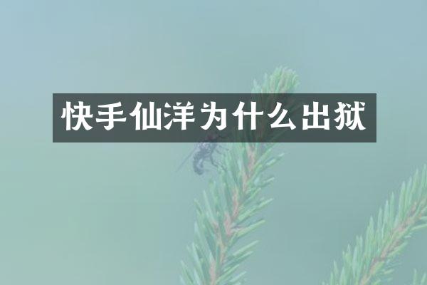 快手仙洋为什么出狱