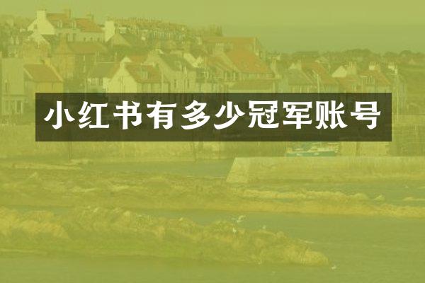 小红书有多少冠军账号