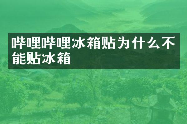 哔哩哔哩冰箱贴为什么不能贴冰箱