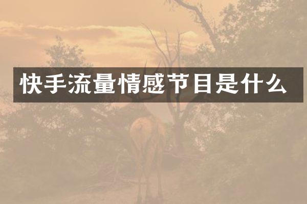 快手流量情感节目是什么