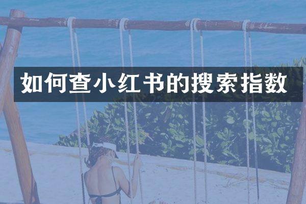 如何查小红书的搜索指数