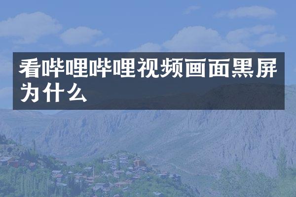 看哔哩哔哩视频画面黑屏为什么