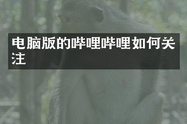 电脑版的哔哩哔哩如何关注
