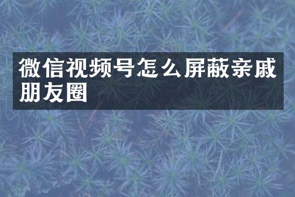 微信视频号怎么屏蔽亲戚朋友圈