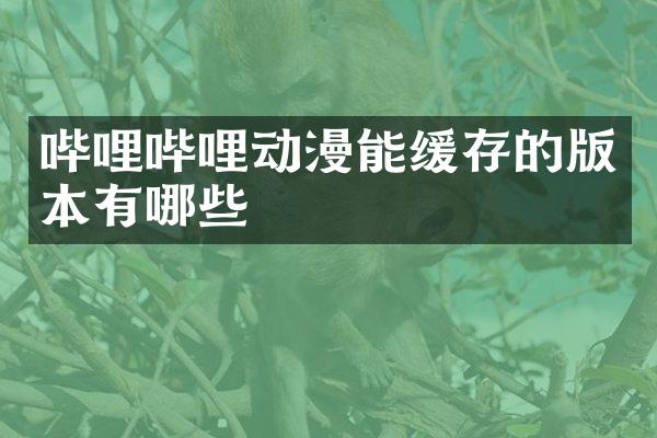 哔哩哔哩动漫能缓存的版本有哪些