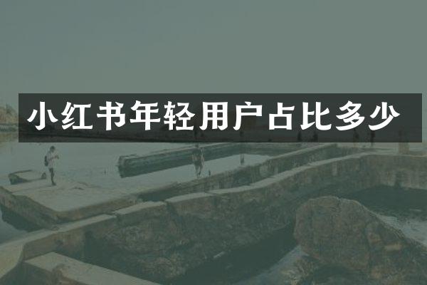 小红书年轻用户占比多少