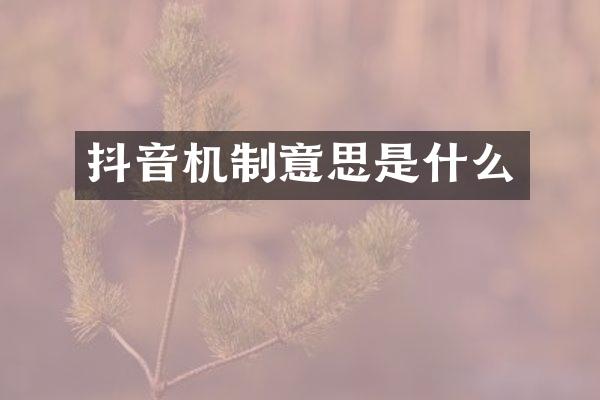 抖音机制意思是什么
