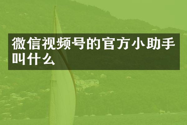 微信视频号的官方小助手叫什么