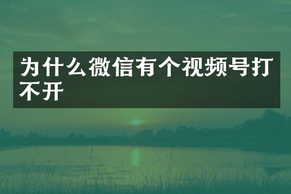 为什么微信有个视频号打不开
