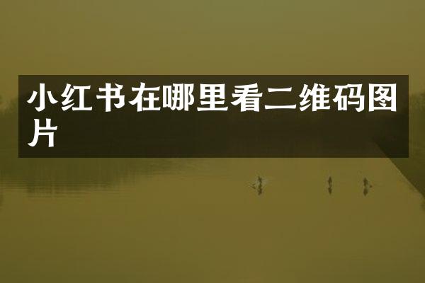 小红书在哪里看二维码图片