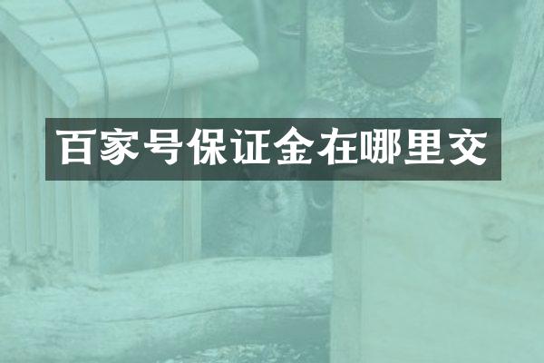 百家号保证金在哪里交