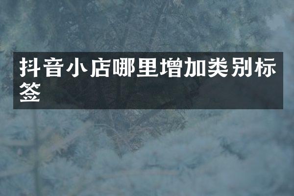 抖音小店哪里增加类别标签