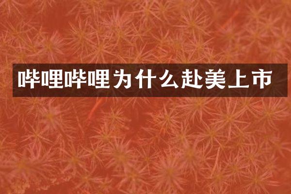 哔哩哔哩为什么赴美上市