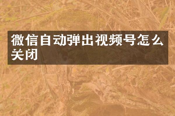 微信自动弹出视频号怎么关闭