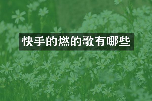 快手的燃的歌有哪些