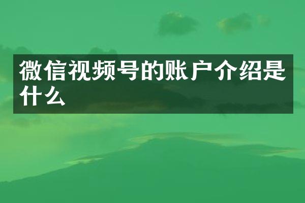 微信视频号的账户介绍是什么