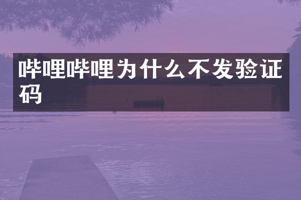 哔哩哔哩为什么不发验证码