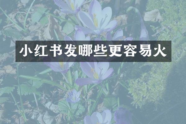 小红书发哪些更容易火