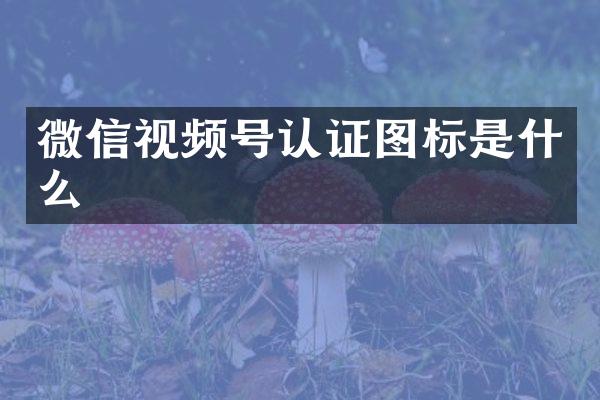 微信视频号认证图标是什么