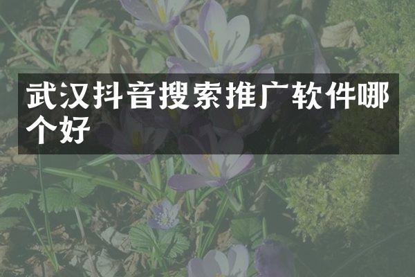 武汉抖音搜索推广软件哪个好