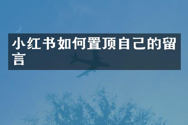 小红书如何置顶自己的留言