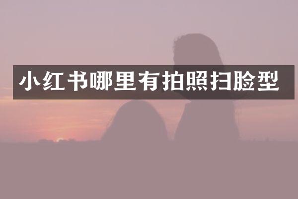 小红书哪里有拍照扫脸型