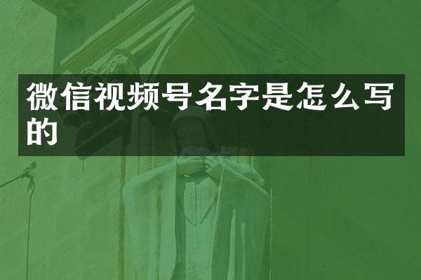 微信视频号名字是怎么写的