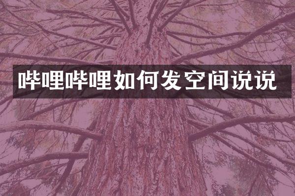哔哩哔哩如何发空间说说