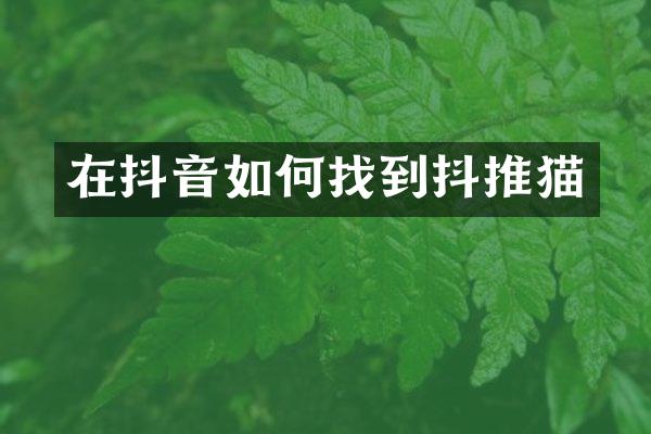 在抖音如何找到抖推猫