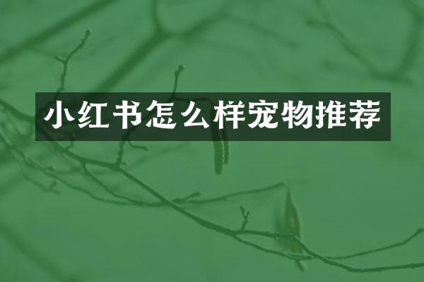 小红书怎么样宠物推荐