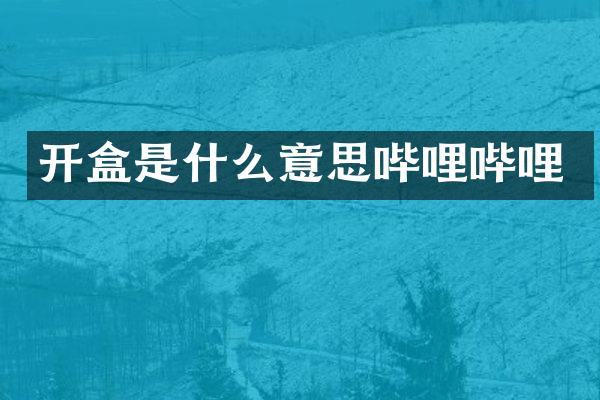 开盒是什么意思哔哩哔哩