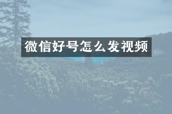 微信好号怎么发视频