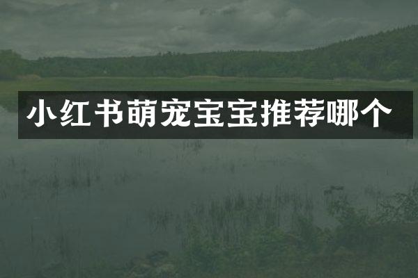 小红书萌宠宝宝推荐哪个