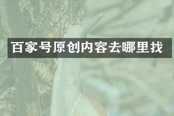 百家号原创内容去哪里找