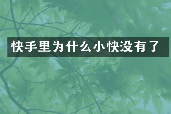 快手里为什么小快没有了